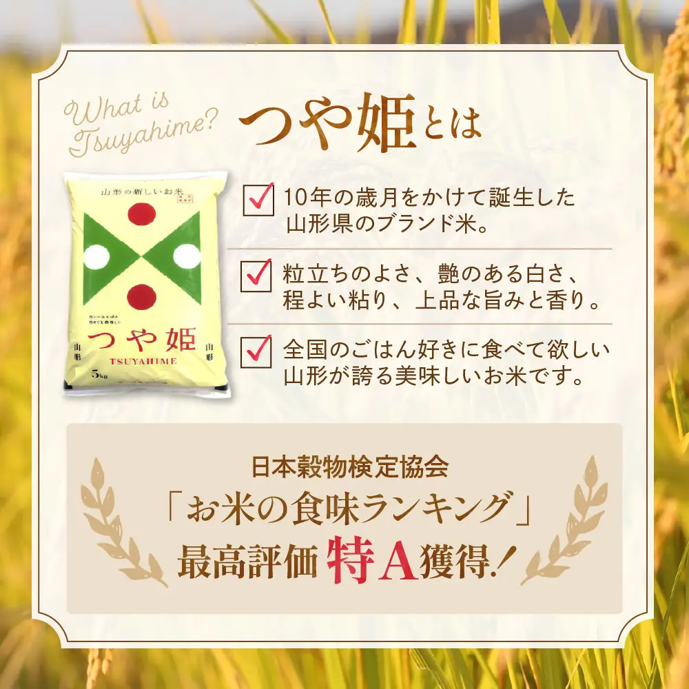 【令和7年産米】 2026年7月後半発送 つや姫 10kg つや姫