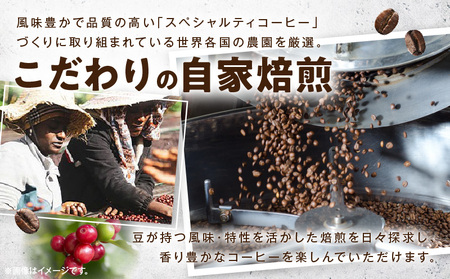 コーヒー 粉 コーヒー[レイドバック珈琲の自家焙煎スペシャルティコーヒーシングルオリジン150g×3種セット(中挽きの粉)]