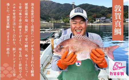 特上鯛めしの素 薬味付き いちほまれ2合キューブ付き [043-a004]