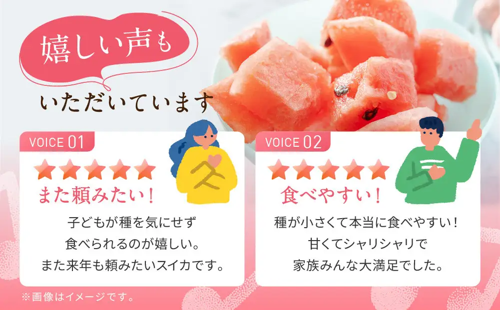 【先行予約】種ごと食べられる！小玉スイカ ピノ・ガール 2玉（1玉2kg前後×2玉）※着日指定不可 ※離島への配送不可 スイカ