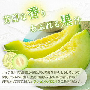 783.【先行予約】青肉メロンの新星「クレセントメロン」満足の２玉セット　※2026年７月中旬より順次発送予定