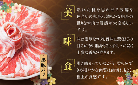 『 黒宝豚 ＆ 茶ぶり切り身 』 どん薩摩の黄金だし しゃぶしゃぶ セット （ 4人前 ） K227-005_01 肉 豚肉 冷凍