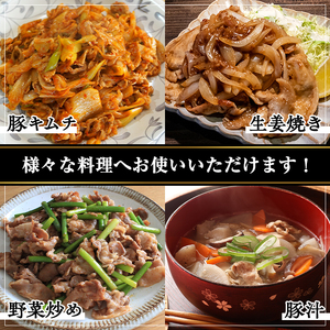 【訳あり】鹿児島県産 豚肉 切り落とし(計5kg・500g×10パック)【おきどき】A458-v03