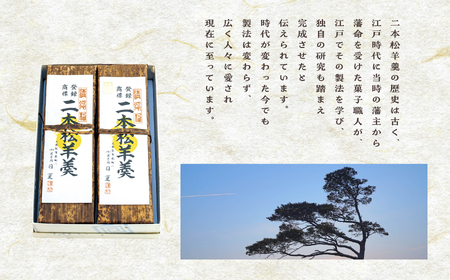 羊羹 二本松羊羹と二本松栗羊羹 詰め合わせ 羊羹 和菓子【株式会社菓子処日夏】