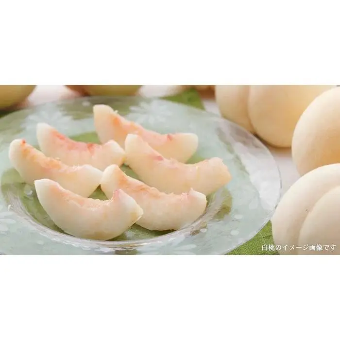 和歌山の桃 秀品 約3.8～4kg(サイズ・品種おまかせ) 和歌山県産 もも 桃 モモ 果物 フルーツ 産地直送 紀伊国屋文左衛門本舗【TC1】