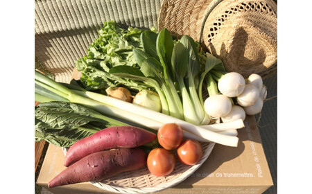 自然栽培野菜 10～12品目 【茨城県共通返礼品・鹿嶋市産・神栖市産・行方市産・潮来市産】(KBE-111)