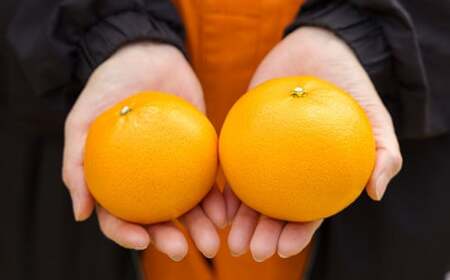 【先行受付・数量限定】柑橘の高級種ブランド 高原町産の柑橘「せとか」ご家庭用 約2kg（大小混合7～9玉） TF0746-P00068