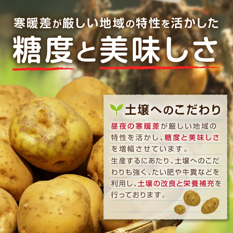 【予約：2026年10月から順次発送】北見市産 たまねぎとじゃがいもセット 約7kg ( 野菜 たまねぎ 玉ねぎ タマネギ 玉葱 ジャガイモ じゃがいも 北海道 セット ふるさと納税 )【002-0007-2026】