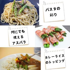 きのした農園の夏アスパラガス＜7月初旬より発送開始＞