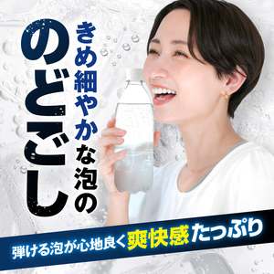 炭酸水 定期便 6ヵ月 富士山の強炭酸水 500ml 24本 ドリンク アイリスオーヤマ 6回 ラベルレス