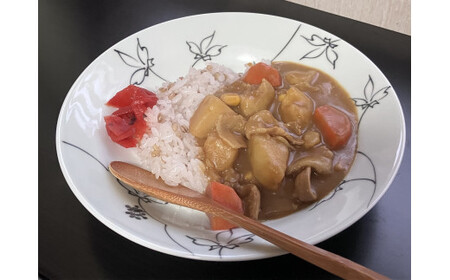 伊万里焼 うこぎ（黒・赤）スーププレート 165-H1058