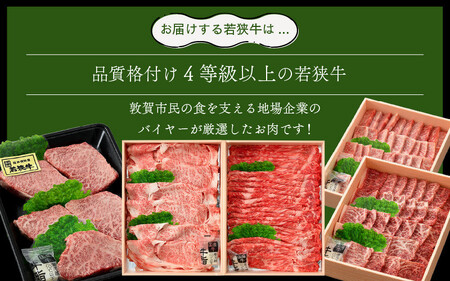 定期便  若狭牛セット Bコース[051-l002]