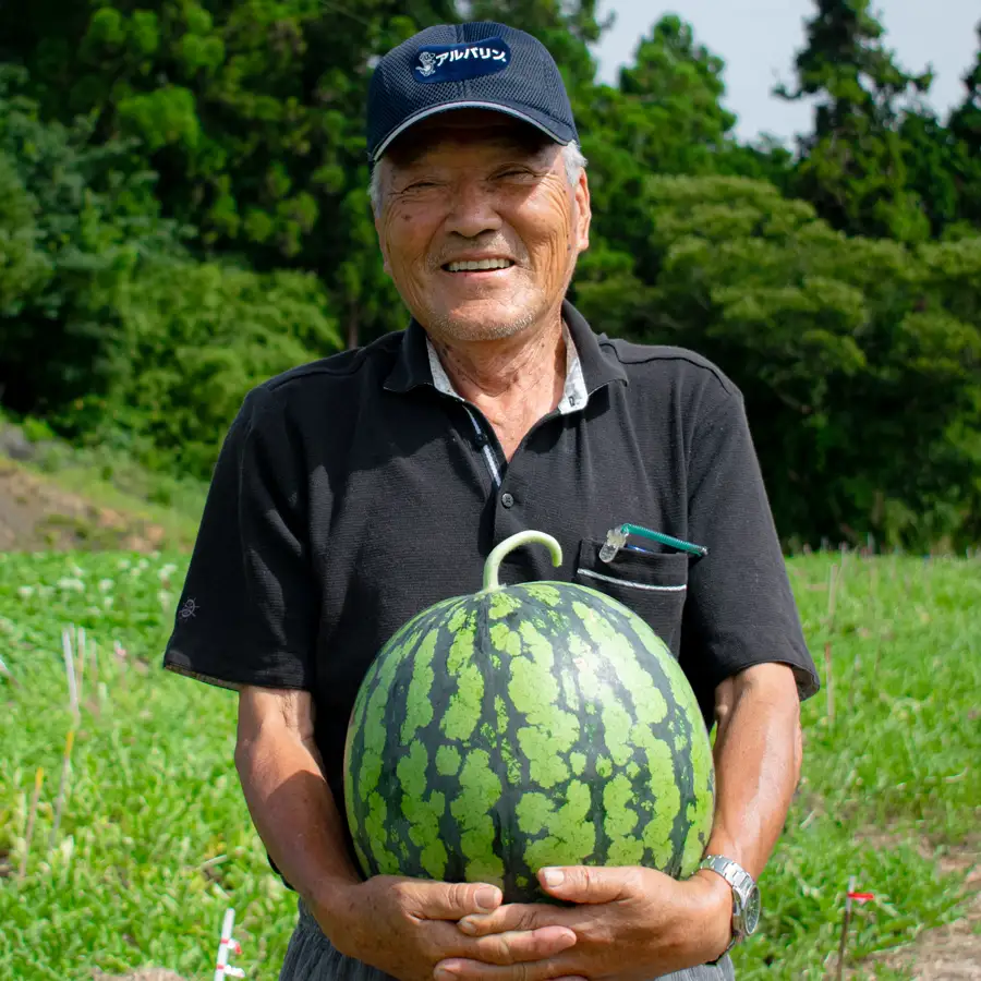 朝採れ すいか 1玉 大玉スイカ （6kg以上） 【先行予約 7月中旬頃より発送】 甘い 果物 野菜
