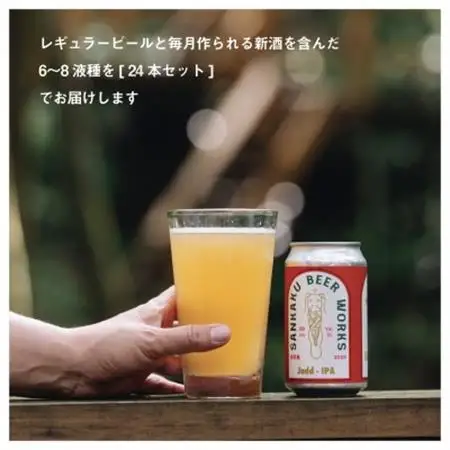 クラフトビール24本セット【配送不可地域：離島】【1186142】