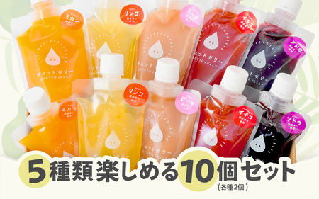 小さめ飲むゼリー5種(10個入り)【ギフト 母の日 父の日 こどもの日 敬老の日】[m01-a051]