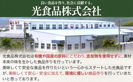 【3ヶ月定期便】ジンジャーエール 光食品