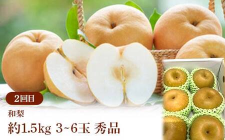 ≪2026年先行予約≫ 全4回 やまがた　食べきりの秋フルーツ定期便 FSY-2392