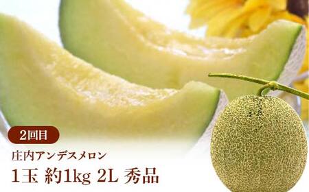 ≪2026年先行予約≫ 全3回 やまがた初夏の果実 定期便 FSY-2373