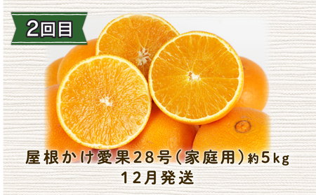 みかん定期便 全3回 陽だまりミカン 家庭用 みかん定期便 B045-050005