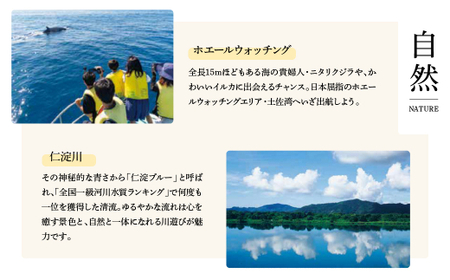 土佐市への寄付 (返礼品はありません) 高知県 土佐市 返礼品なし 1口 200000円  応援 寄付【土佐市役所】 [BQCD008]
