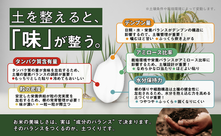 新潟産コシヒカリ 5kg お米 