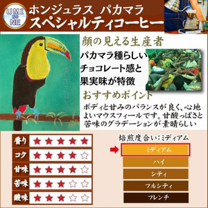 【豆】訳ありコーヒー豆800g ホンジュラス 自家焙煎コーヒー豆 EW