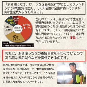 a15-609　食品添加物不使用の 浜名湖うなぎ蒲焼2尾
