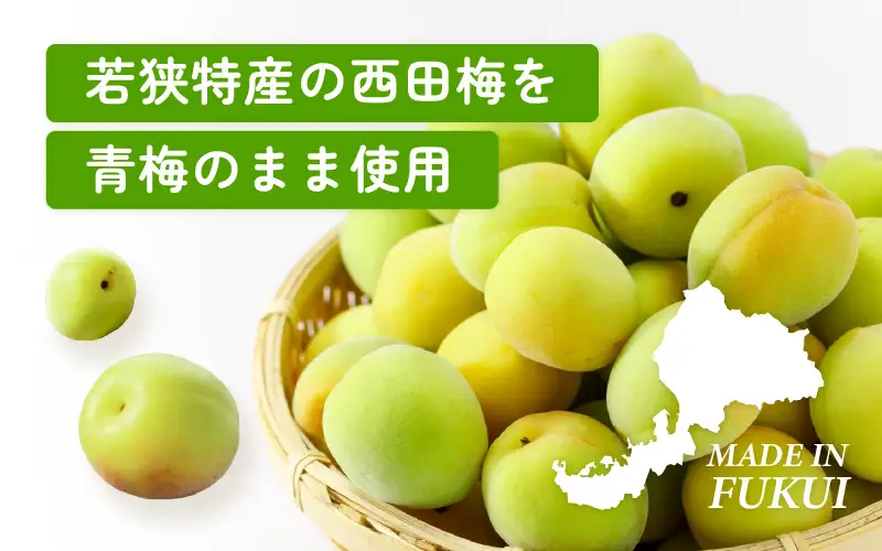 【先行予約】【福井県産】フルーツを使った ジャム 4種 計12個セット（ブルーベリージャム2個 いちじくジャム3個 梅ジャム4個 苺ジャム3個）【2026年6月下旬以降順次発送予定】[m03-c007]
