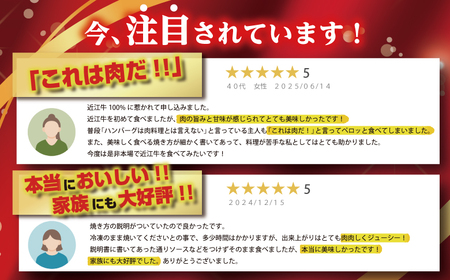 ハンバーグ 近江牛 100% 生 プレミアム 720g (約120g×6個) ブランド 牛肉 黒毛和牛 【 近江牛 】 FO18W