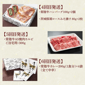 12ヶ月 定期便 肉 高級肉 常陸牛 Aコース  肉のイイジマ（DU-111）