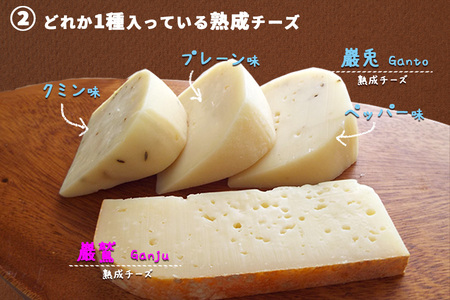 雫石チーズ工房 ふるさと納税 セット【7種】 チーズ 乳製品 ストリング ストリングチーズ さけるチーズ フレッシュチーズ スカモルツァ 焼けるチーズ 焼くチーズ カマンベールチーズ 味噌漬け みそ漬け 熟成 熟成チーズ 手づくり 手作り おつまみ おやつ トッピング 人気 プレゼント ギフト プチギフト 贈り物 おすすめ