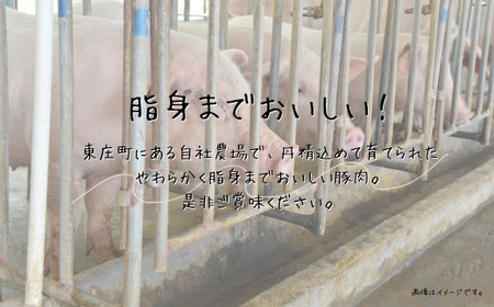 あやめポーク焼肉セット　肩ロース（500g）＆ロース（500g）計1kg