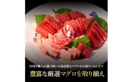 鮪 中トロ500g・赤身400g 合せて900g 赤身と中トロのセット 赤身 マグロ まぐろ 本まぐろ 刺身 刺し身 魚 海鮮 冷凍 美味しい おいしい 食べ比べ セット【株式会社大熊】 [BQAA048]