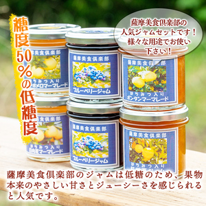 isa554 《数量限定》5種のバラエティージャム食べ比べセット(計18個・ブルーベリー×6、紅甘夏×3、ボンタン×3、サワーポメロ×3、日向夏×3)加工食品 果物 フルーツ 詰め合わせ 果肉 柑橘 低糖 ハンドメイド ジャム ギフト マーマレード【薩摩美食倶楽部】