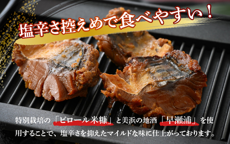 【へしこの町】【若狭美浜特産】鯖のへしこ 3種 計9個(1/4切れ3個 スライスパック3個 フレーク 3個) さば サバ 福井 美浜 若狭 名産 郷土料理 ぬか漬け 糠漬け 発酵 米麹 ピロール米 早瀬浦 つまみ 酒の肴 珍味 伝統 ギフト プレゼント 敬老の日[m03-a054]