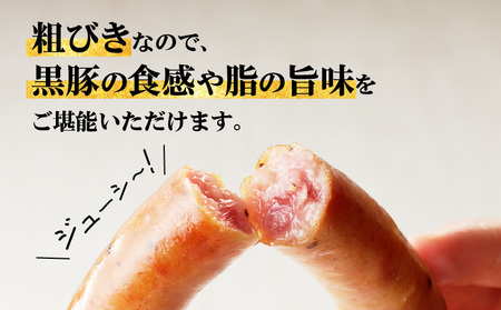 鹿児島黒豚ウインナー10P K161-016 肉 豚肉 惣菜 総菜 冷凍