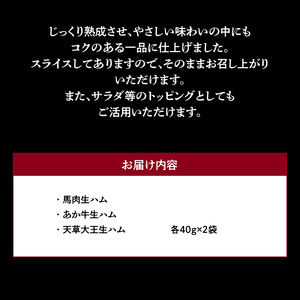 くまもとの生ハムセット _U129-0004
