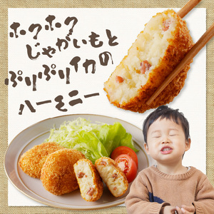 そのまま揚げるだけ！ コロッケ（イカ入り）30個セット｜丸福水産 簡単調理 お手軽 揚げ物 イカ いか 烏賊 コロッケ お惣菜 おかず 弁当 おつまみ フライ 国産 冷凍 佐賀県 玄海町 送料無料【A073】