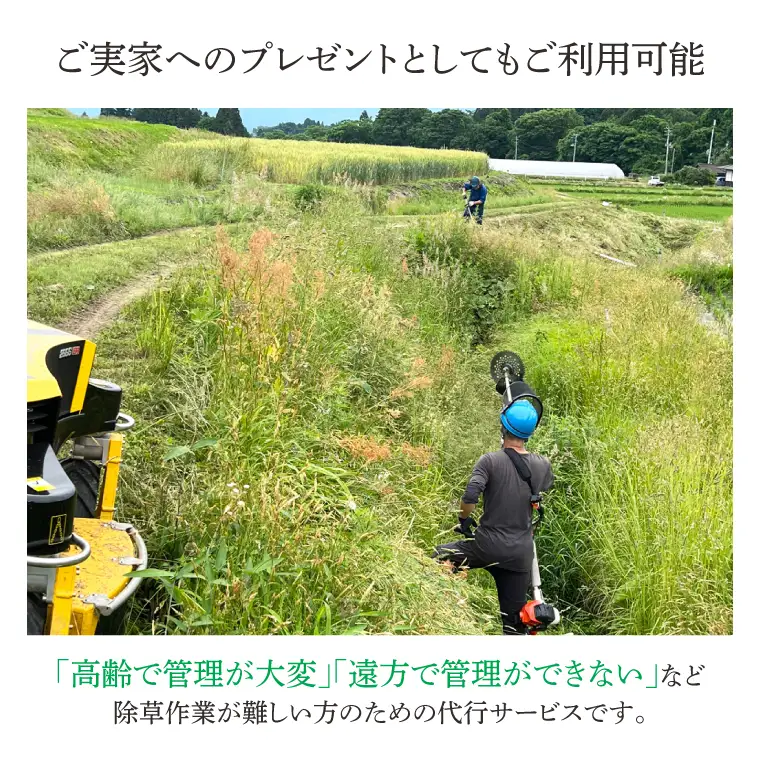 DQ001 【要事前連絡】草刈り、除草作業サービス（農地、空き地、空き家等）
