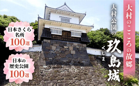 玖島城石垣の石 NFT 大村市大村市役所商工観光部ふるさと物産振興課[ACBI002]