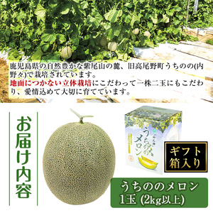 【先行予約】うちのの メロン 1玉 ギフト箱入り 2kg 以上 果物 フルーツ ギフト 【山ん神】 i915