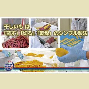 【1月中旬より順次発送】【ギフト】【バラ詰め】ほしいもホワイト（スペシャル）500g （BH-9-1）