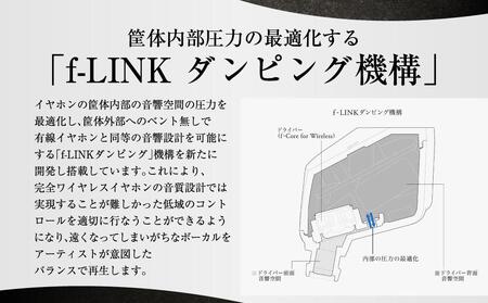 BLACK final ZE3000 完全ワイヤレスイヤホン イヤホン