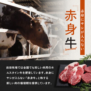 大田原ブランド認定牛 前田牧場の赤身牛 フィレ ステーキ 150g×3枚 | 牛肉 ブランド牛 ヒレ ステーキ