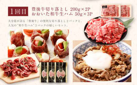 【3ヶ月定期便】 黒毛和牛 おおいた和牛＆豊後牛