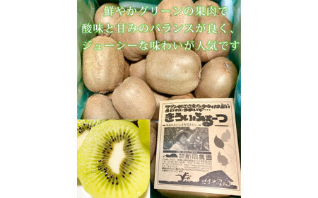 紀州かつらぎ山のキウイフルーツ約３ｋｇ ※2027年1月下旬～2月上旬頃に順次発送予定(お届け日指定不可)【uot792】