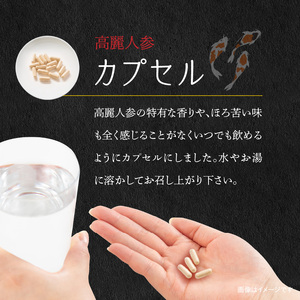 高麗人参セットB(乾燥チップス10ｇ×3袋 カプセル0.5ｇ×31粒) _U128-0018