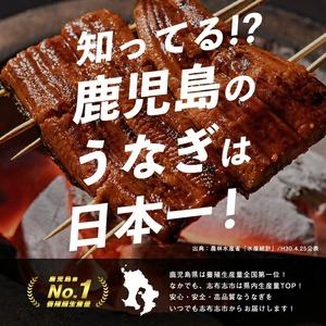 鹿児島県産うなぎ蒲焼 名水慈鰻 上9尾(1尾160g以上)＜計1.4kg以上＞ e0-060