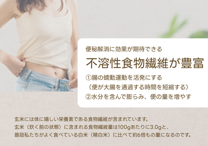 【令和7年産】【6ヶ月定期便】【炊飯器で普通に炊ける玄米】 ふっくら玄米食 6kg（2kg×3）×6回 新潟県 阿賀野市産 米杜氏 壱成 特別栽培コシヒカリ 1H33133
