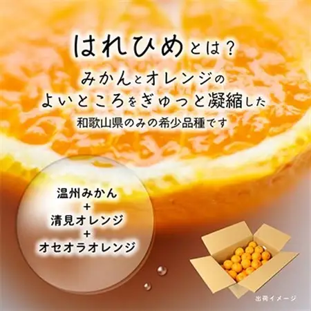 先行受付!　はれひめ(みかんの希少種)　秀品　25個～30個入　約5kg【1485755】